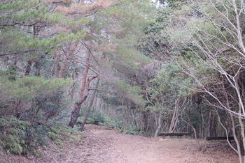 森林公園２.JPG